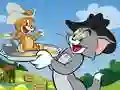 Gioco Tom e Jerry Scivolo in linea