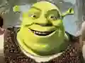 Gioco Collezione di Puzzle di Shrek in linea