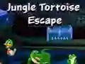 Gioco Fuga della Tartaruga dalla Giungla in linea Gioco Fuga della Tartaruga dalla Giungla in linea
