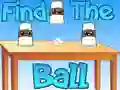 Gioco Trova la palla in linea