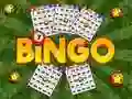 Gioco Bingo Svelato in linea