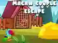 Gioco Fuga della Coppia di Ara in linea Gioco Fuga della Coppia di Ara in linea
