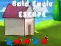 Gioco Fuga dell'Aquila Calva in linea