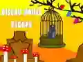 Gioco Fuga dalla casa Oiseau in linea