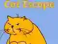 Gioco Fuga del gatto in linea