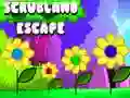 Gioco Fuga dalla Macchia in linea Gioco Fuga dalla Macchia in linea