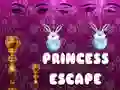 Gioco Fuga della Principessa in linea Gioco Fuga della Principessa in linea