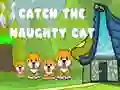 Gioco Prendi il gatto birichino in linea Gioco Prendi il gatto birichino in linea