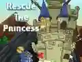 Gioco Salva la Principessa in linea