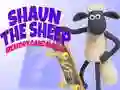 Gioco Shaun la Pecora: Gioco di Memoria in linea