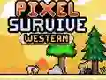 Gioco Sopravvivenza Pixel Western in linea