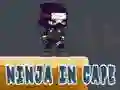 Gioco Ninja in Cappotto in linea