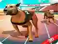 Gioco Corsa di cani pazzi in linea Gioco Corsa di cani pazzi in linea