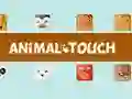 Gioco Animale Toush in linea