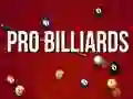 Gioco Biliardo Professionale in linea Gioco Biliardo Professionale in linea
