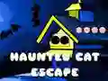 Gioco Fuga del Gatto Fantasma in linea