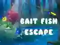 Gioco Fuga del Pesce Esca in linea Gioco Fuga del Pesce Esca in linea