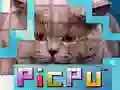 Gioco PicPu Gatto in linea