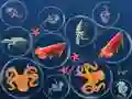 Gioco Fusione dei Pesci dell'Oceano in linea Gioco Fusione dei Pesci dell'Oceano in linea