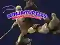Gioco Memory delle Tartarughe Ninja in linea