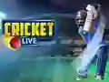 Gioco Cricket Live in linea
