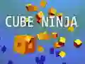Gioco Ninja Cubo in linea