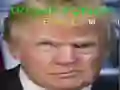 Gioco Trump Faccia Divertente in linea Gioco Trump Faccia Divertente in linea