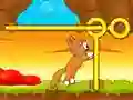 Gioco Salva il Gattino in linea
