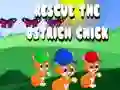 Gioco Salva il pulcino di struzzo in linea Gioco Salva il pulcino di struzzo in linea