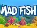 Gioco Pesce Matto in linea Gioco Pesce Matto in linea