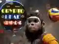 Gioco Palla Testa Cripto in linea Gioco Palla Testa Cripto in linea