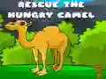 Gioco Salva il cammello affamato in linea