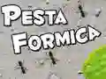 Gioco Festa delle Formiche in linea Gioco Festa delle Formiche in linea