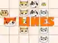 Gioco Linee di Gatti in linea Gioco Linee di Gatti in linea
