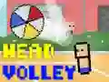 Gioco Volley della testa in linea