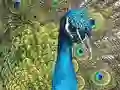 Gioco Kit di Puzzle in linea Gioco Kit di Puzzle in linea