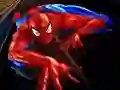 Gioco Puzzle Spider-Man in linea