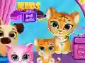 Gioco Hotel per Animali per Bambini in linea