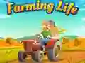 Gioco Vita Agricola in linea