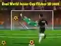 Gioco Coppa del Mondo di Calcio Reale Flicker 3D 2023 in linea