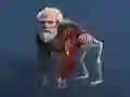 Gioco Evoluzione Inattiva: Da Cellula a Umano in linea Gioco Evoluzione Inattiva: Da Cellula a Umano in linea