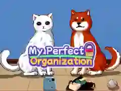 Gioco La mia organizzazione perfetta in linea