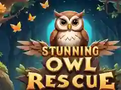 Gioco Salvataggio Straordinario di Gufi in linea