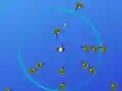 Gioco Cerchio della Vita in linea