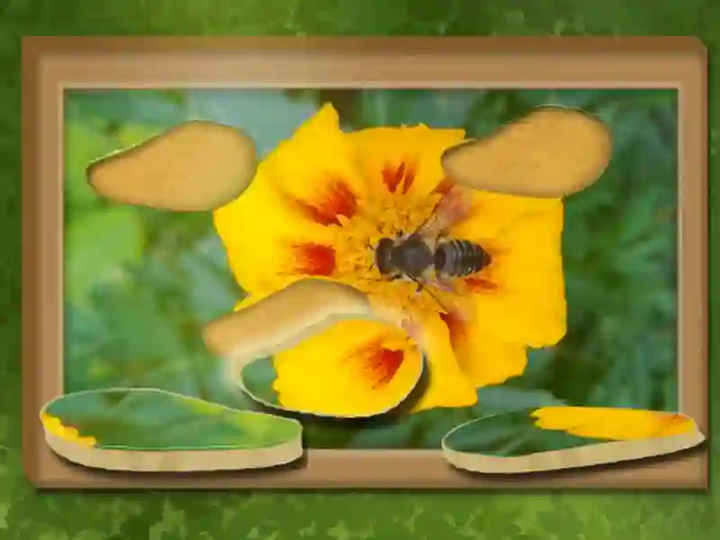 Gioco Trova e ripristinato: puzzle nascosto in linea
