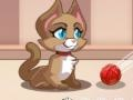 Gioco Bollicine di Gatto in linea