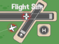 Gioco Simulatori di Volo in linea