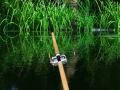 Gioco Lago Verde in linea