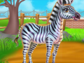 Gioco Cura della zebra in linea