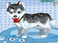 Gioco Il mio cane carino che fa il bagno in linea